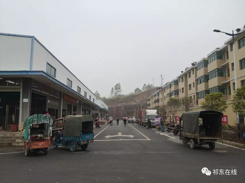 祁東縣大型活禽水產(chǎn)綜合批發(fā)市場(chǎng) 位置、功能與區(qū)域商貿(mào)新格局